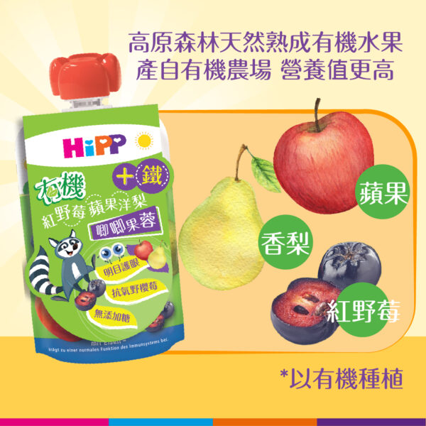 HiPP Organic Red Fruits in Apple-Pear with Iron (100g) 8 pcs [2025 New Arrival!] - Image 3